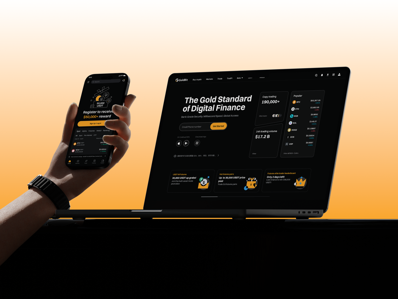 Goldbit project preview