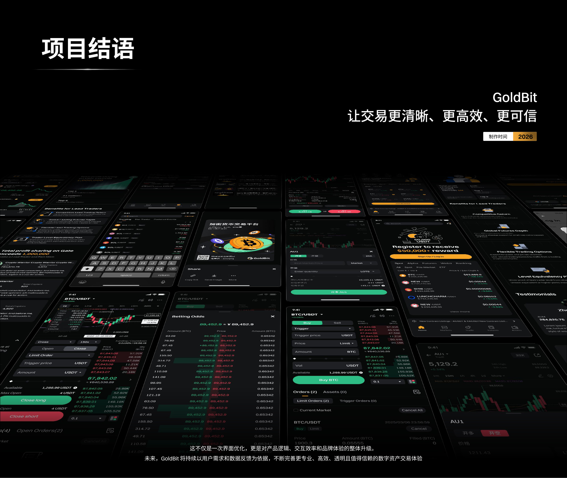 Goldbit 项目页面 12